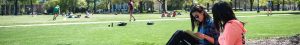 Quad at UA